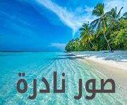 صور نادره